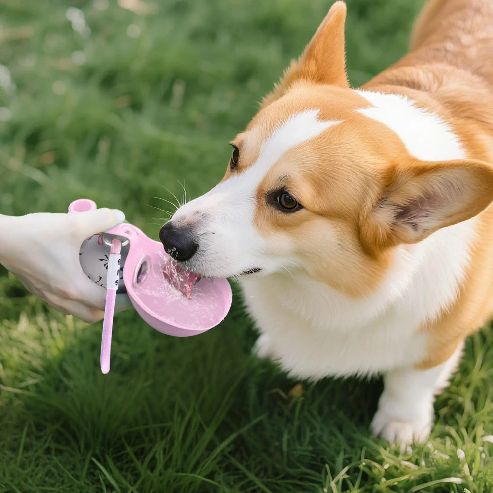 Portable Small Dog Water Bottle